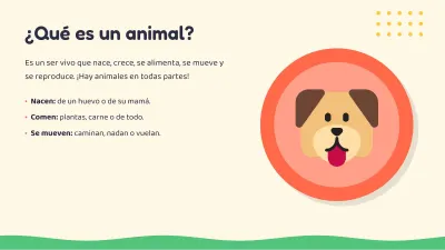 Kids class: animals, slide 4 of 13