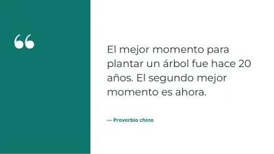 Plan de negocios, diapositiva 12 de 14
