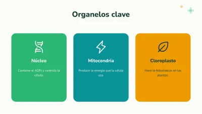 Biología: la célula, diapositiva 5 de 13
