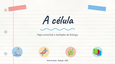 Mapa conceitual e anotações