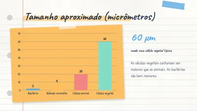 Mapa conceitual e anotações, slide 7 de 14