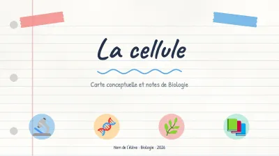 Carte conceptuelle et notes de cours