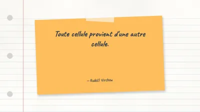 Carte conceptuelle et notes de cours, diapositive 12 sur 14
