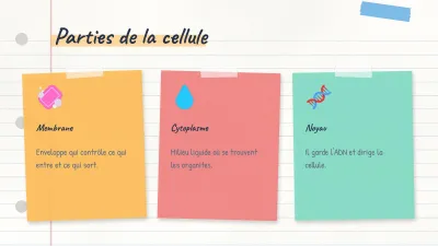 Carte conceptuelle et notes de cours, diapositive 5 sur 14