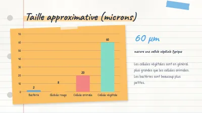 Carte conceptuelle et notes de cours, diapositive 7 sur 14