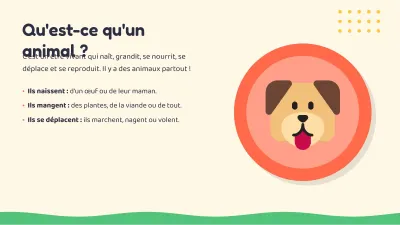 Cours pour enfants : les animaux, diapositive 4 sur 13