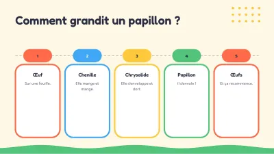 Cours pour enfants : les animaux, diapositive 8 sur 13