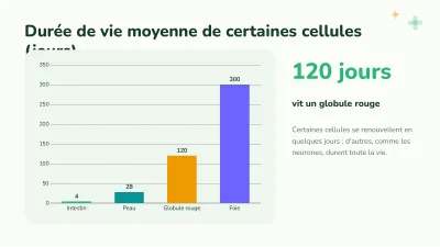 Biologie : la cellule, diapositive 7 sur 13