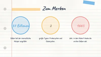 Concept Map und Lernnotizen, Folie 6 von 14