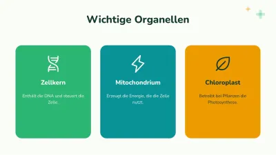 Biologie: die Zelle, Folie 5 von 13