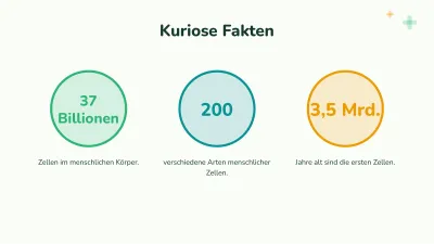 Biologie: die Zelle, Folie 6 von 13