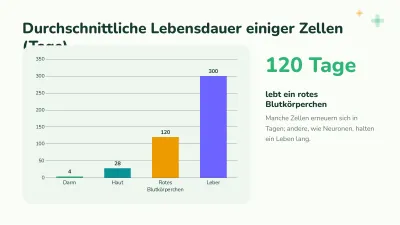Biologie: die Zelle, Folie 7 von 13