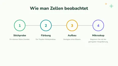 Biologie: die Zelle, Folie 9 von 13