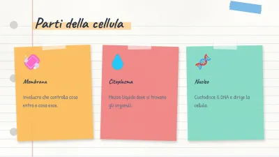 Mappa concettuale e appunti, diapositiva 5 di 14