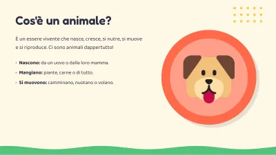 Lezione per bambini: gli animali, diapositiva 4 di 13