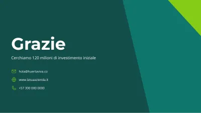 Business plan, diapositiva 13 di 14