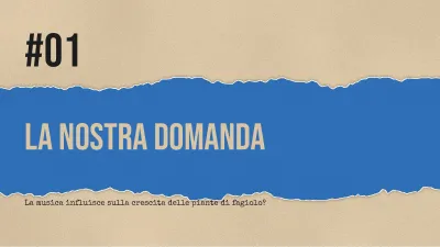 Progetto scolastico stile scrapbook, diapositiva 3 di 13