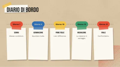 Progetto scolastico stile scrapbook, diapositiva 8 di 13