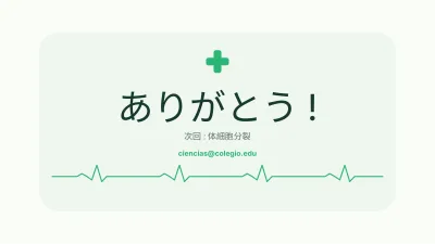 生物:細胞、スライド12/13