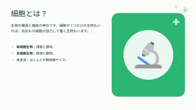 生物:細胞、スライド4/13
