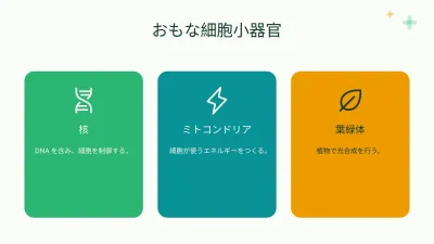 生物:細胞、スライド5/13