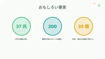 生物:細胞、スライド6/13