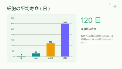 生物:細胞、スライド7/13